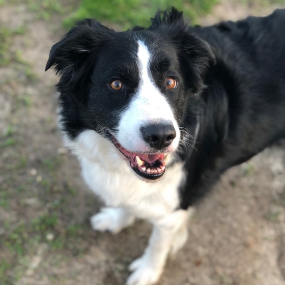 Meet your Posher, Jess! - Picture 3 of 8